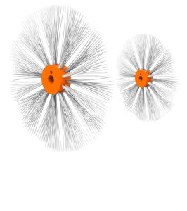 brushes_tegras_North_America